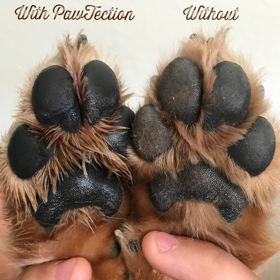 tlapky paw tection